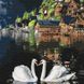 Комплектація Картини за номерами Чарівні лебеді (KHO4199) Идейка (Без коробки) від інтернет-магазину товарів для творчості Sylarozumu.com.ua