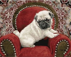 Фото Картина по номерам Щенок в кресле (BK-GX32518) (Без коробки) от интернет-магазина картин-раскрасок Sylarozumu.com.ua