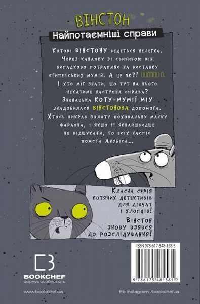 Книга Вінстон. Найпотаємніші справи: Прокляття вартового кота купити в інтернет-магазині Sylarozumu.com.ua