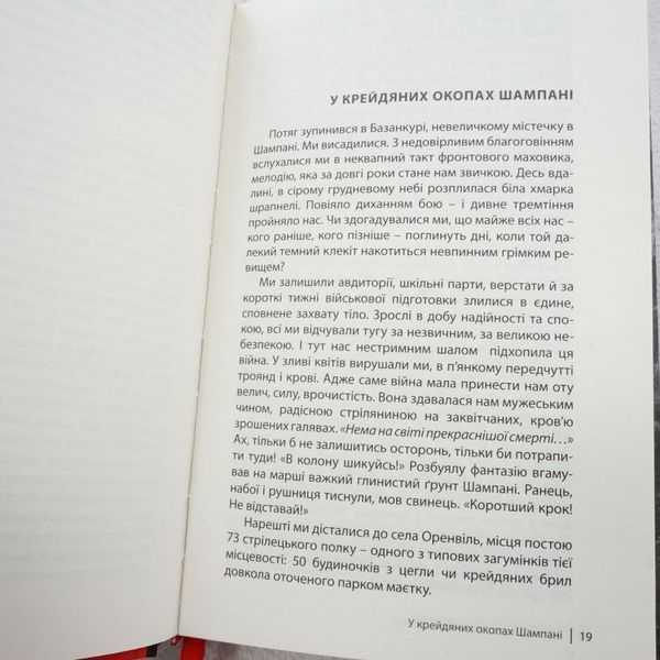 В стальных грозах книга в магазине Sylarozumu.com.ua