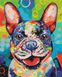 Комплектация Картина по номерам Яркий пес (BSM-B38448) от интернет-магазина товаров для творчества Sylarozumu.com.ua