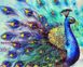 Комплектація Картина з мозаїки Прекрасний павич My Art (MRT-TN978) від інтернет-магазину наборів для рукоділля Sylarozumu.com.ua