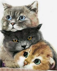 Фото Набор алмазной мозаики Три милых котика My Art (MRT-TN1182, На подрамнике) от интернет-магазина рукоделия Sylarozumu.com.ua