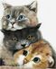 Комплектация Набор алмазной мозаики Три милых котика My Art (MRT-TN1182, На подрамнике) от интернет-магазина наборов для рукоделия Sylarozumu.com.ua