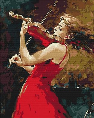 Фото Картина за номерами Дівчина зі скрипкою (BS491) (Без коробки) від інтернет-магазину картин-розмальовок Sylarozumu.com.ua