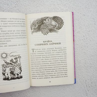 В Стране Солнечных Зайчиков книга в магазине Sylarozumu.com.ua