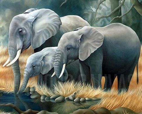 Фото Картина з страз Сім'я слонів ТМ Алмазна мозаіка (DMF-189) від інтернет-магазину рукоділля Sylarozumu.com.ua