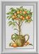 Комплектація Картина з страз Апельсинове дерево (повна зашивання, квадратні камені) Dream Art (DA-30274) від інтернет-магазину наборів для рукоділля Sylarozumu.com.ua