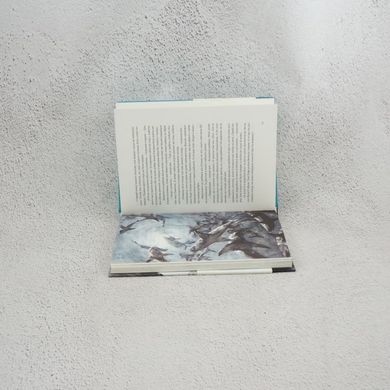 Старик и море книга в магазине Sylarozumu.com.ua