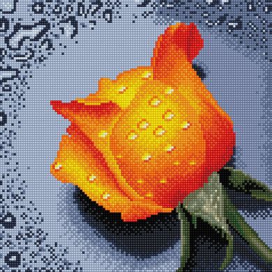 Фото Картина из страз Роза оранжевая ColorArt (CLR-PTT605, На подрамнике) от интернет-магазина рукоделия Sylarozumu.com.ua