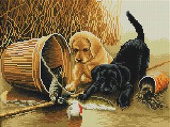 Фото Картина из страз Игривые собачки ColorArt (CLR-PST400, На подрамнике) от интернет-магазина рукоделия Sylarozumu.com.ua