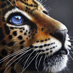 Фото Картина з страз Погляд леопарда ТМ Алмазна мозаіка (DM-399) від інтернет-магазину рукоділля Sylarozumu.com.ua