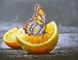 Комплектація Картина з страз Метелик на апельсині ТМ Алмазна мозаіка (DM-180) від інтернет-магазину наборів для рукоділля Sylarozumu.com.ua