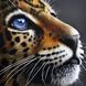 Комплектация Картина из страз Взгляд леопарда ТМ Алмазная мозаика (DM-399, ) от интернет-магазина наборов для рукоделия Sylarozumu.com.ua