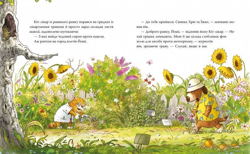 Заблудилась овца. Кот врач 1 книга в магазине Sylarozumu.com.ua