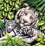 Картина з страз Біла тигриця з тигрятами ТМ Алмазна мозаіка (DM-283) купити з доставкою по Україні на сайті Sylarozumu.com.ua