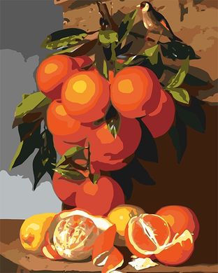 Фото Малювання по номерам Натюрморт з апельсинами в пейзажі худ. Antonio Mensaque (GVR-180646) Діамантові ручки (Без коробки) від інтернет-магазину картин-розмальовок Sylarozumu.com.ua