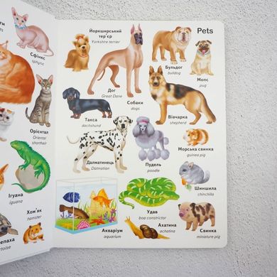 Первые слова. Животные + английский книга в магазине Sylarozumu.com.ua