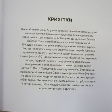 Арт-квадрат: Крошки книга в магазине Sylarozumu.com.ua