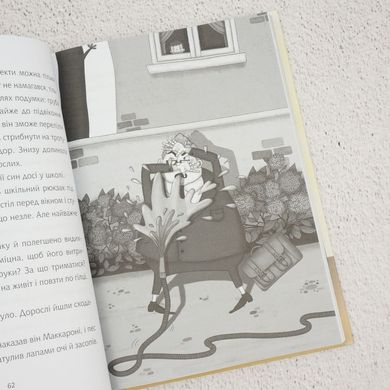Школа без нудьги. Таємна кімната книга в інтернет-магазині Sylarozumu.com.ua