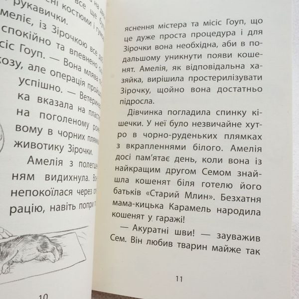 Кошачье баловство. Истории спасения книга в магазине Sylarozumu.com.ua