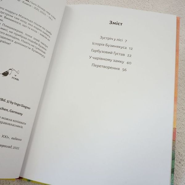 Книга Дракончик Кокос і великий чарівник купити в інтернет-магазині Sylarozumu.com.ua