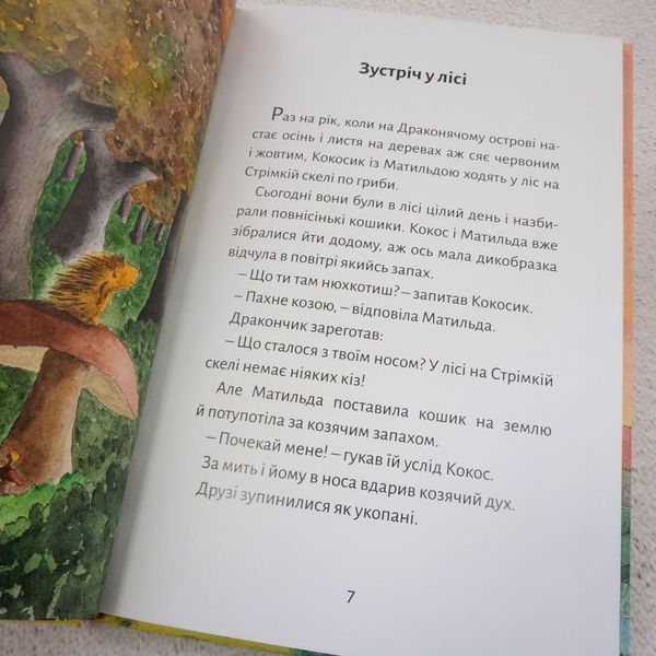 Книга Дракончик Кокос і великий чарівник купити в інтернет-магазині Sylarozumu.com.ua