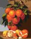 Комплектація Малювання по номерам Натюрморт з апельсинами в пейзажі худ. Antonio Mensaque (GVR-180646) Діамантові ручки (Без коробки) від інтернет-магазину товарів для творчості Sylarozumu.com.ua