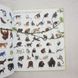1000 назв тварин книга і фото сторінок від інтернет-магазину Sylarozumu.com.ua