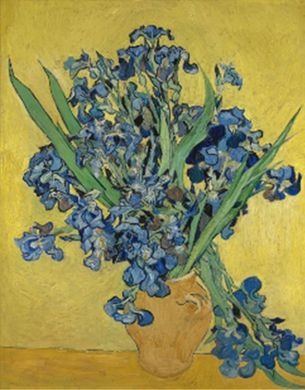 Фото Картина стразами Іриси худ. Vincent van Gogh Діамантові ручки (GU_189672) від інтернет-магазину рукоділля Sylarozumu.com.ua