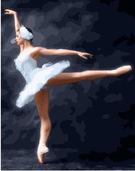 Фото Малювання по номерам Чари балету (BK-GX23013) (Без коробки) від інтернет-магазину картин-розмальовок Sylarozumu.com.ua