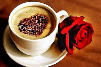 Фото Алмазна мозаїка Американо і троянда My Art (MRT-TN087) від інтернет-магазину рукоділля Sylarozumu.com.ua