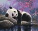 Комплектация Картина по номерам Сладкий сон панды (BSM-B25108) от интернет-магазина товаров для творчества Sylarozumu.com.ua