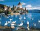 Комплектація Малювання по номерам Лебеді на озері (BRM32276) від інтернет-магазину товарів для творчості Sylarozumu.com.ua