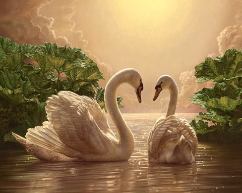 Фото Алмазная живопись Пара лебедей на пруду My Art (MRT-TN015, На подрамнике) от интернет-магазина рукоделия Sylarozumu.com.ua