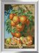 Комплектація Картина з страз Гілка апельсинів Dream Art (DA-31362) від інтернет-магазину наборів для рукоділля Sylarozumu.com.ua
