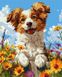Комплектация Раскраска по номерам Собака в цветах ©art_selena_ua (KH6624) Идейка от интернет-магазина товаров для творчества Sylarozumu.com.ua