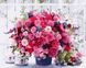 Комплектация Картины по номерам Розовые хризантемы (MR-Q1233) Mariposa от интернет-магазина товаров для творчества Sylarozumu.com.ua