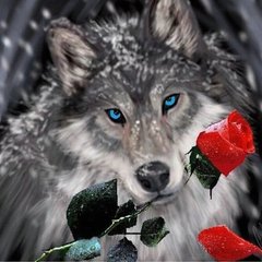 Фото Картина з страз Вовк з трояндою ТМ Алмазна мозаіка (DMF-272) від інтернет-магазину рукоділля Sylarozumu.com.ua