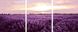 Комплектация Картина по номерам Триптих. Лавандовое поле (MS14059) Babylon от интернет-магазина товаров для творчества Sylarozumu.com.ua
