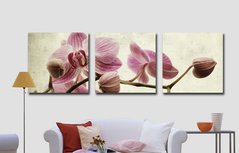Фото Картина за номерами Триптих. рожеві орхідеї (MS14067) Babylon від інтернет-магазину картин-розмальовок Sylarozumu.com.ua