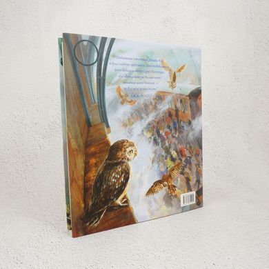 Гаррі Поттер і філософський камінь, ілюстроване видання книга в інтернет-магазині Sylarozumu.com.ua