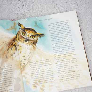 Гарри Поттер и философский камень, иллюстрированное издание книга в магазине Sylarozumu.com.ua