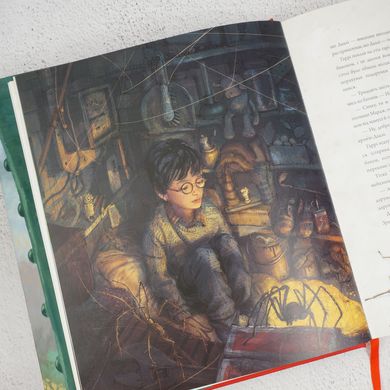 Гаррі Поттер і філософський камінь, ілюстроване видання книга в інтернет-магазині Sylarozumu.com.ua