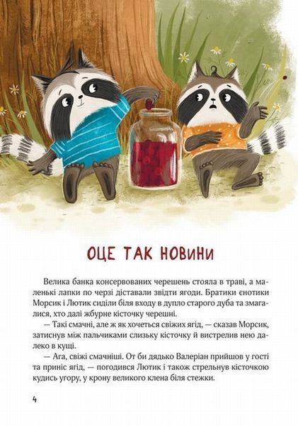 Книга Шалене літо єнотів бешкетників. Подорож до Баштанової долини купити в інтернет-магазині Sylarozumu.com.ua