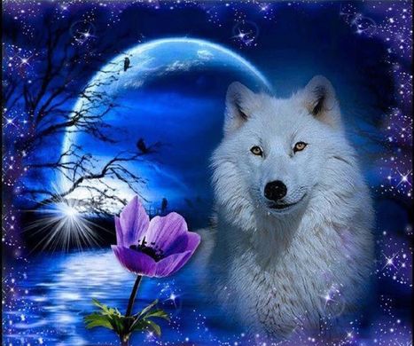 Фото Картина из страз Белый волк ТМ Алмазная мозаика (DMF-274, ) от интернет-магазина рукоделия Sylarozumu.com.ua