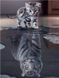 Комплектация Алмазная мозаика Душа тигра My Art (MRT-TN672, На подрамнике) от интернет-магазина наборов для рукоделия Sylarozumu.com.ua