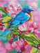 Комплектація Мозаїка алмазна Синичка Rainbow Art (EJ1367) від інтернет-магазину наборів для рукоділля Sylarozumu.com.ua