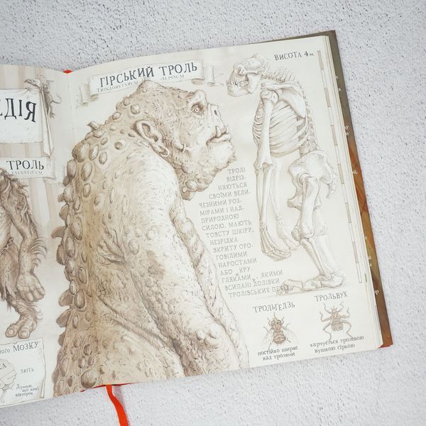 Гарри Поттер и философский камень, иллюстрированное издание книга в магазине Sylarozumu.com.ua