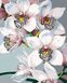 Комплектація Розмальовка для дорослих Вабливі орхідеї (BK-GX43805) (Без коробки) від інтернет-магазину товарів для творчості Sylarozumu.com.ua